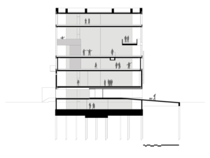 marte marte 1 (10).png