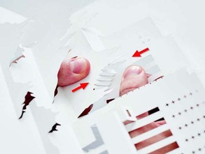 FLW_folds4.jpg