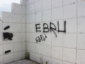 IMG_3830.JPG
