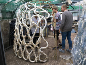 Mycelium01.jpg