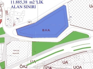 54611539_620x410.jpg