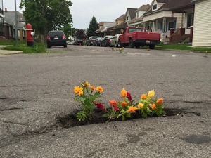 Pothole Flowers 1.jpg