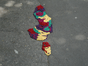 Pothole Flowers 14.jpg