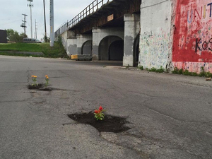 Pothole Flowers 5.jpg