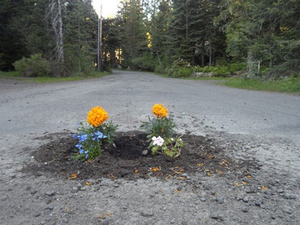 Pothole Flowers 7.jpg
