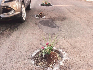 Pothole Flowers 8.jpg