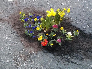 Pothole Flowers 9.jpg