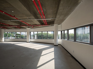 Thumbs up Building 5.jpg