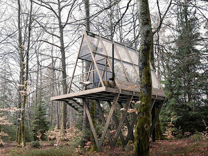 stedsans in the woods 2.jpg