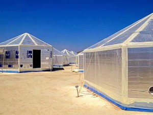 Burning_Man (2)730.jpg