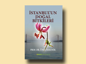 istanbulun-doğal-bitkileri.jpg