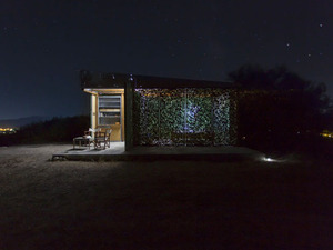 domus-olive-tree-house-10730.jpg