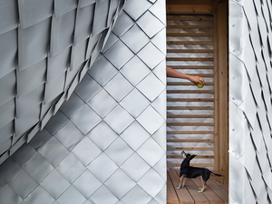 PUP Architects 9.jpg