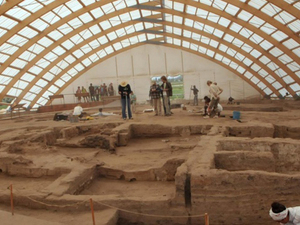 1421.jpg