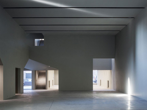 domus-aires-mateus-tournai-10730.jpg