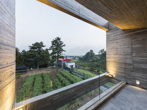 Simple House 10.jpg