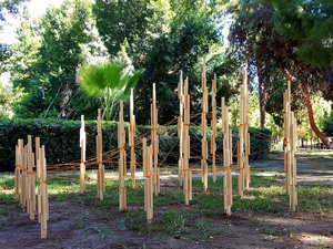 antalya_bienali_4.jpg