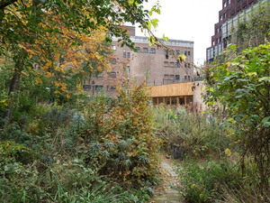 The Phoenix Garden Community Building 14.jpg
