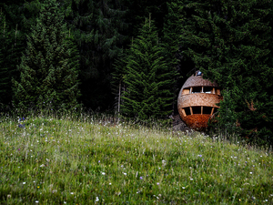 pinecone-tree-house-2.jpg