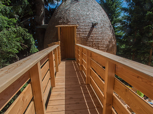pinecone-tree-house-4.jpg