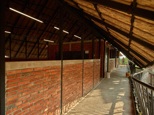 Alfa Omega School 16.jpg