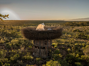 bird-nest-hotel-room-segera-retreat-kenya-nay-palad-designboom-02730.jpg