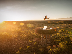 bird-nest-hotel-room-segera-retreat-kenya-nay-palad-designboom-06730.jpg