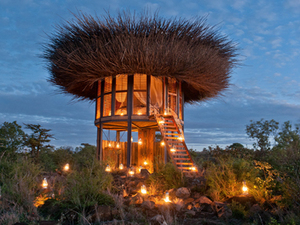 bird-nest-hotel-room-segera-retreat-kenya-nay-palad-designboom-1800730.jpg