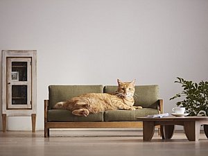 Mobilyalarda Kedi Ölçeği