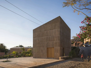 DEL VALLE COMMUNITY CULTURAL CENTER (10).jpg