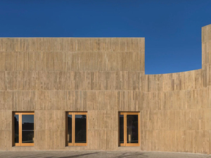 DEL VALLE COMMUNITY CULTURAL CENTER (2).jpg