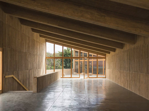 DEL VALLE COMMUNITY CULTURAL CENTER (4).jpg