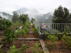 Rural Urban Framework 3.jpg