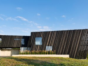sleeve-house-1.jpg