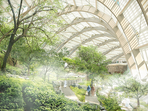 oman-botanic-garden-designboom-4730.jpg