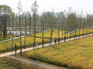 landscape_turenscape_peasants_and_their_land_the_recovered_archaeological_landscape_of_chengtoushan_large730.jpg
