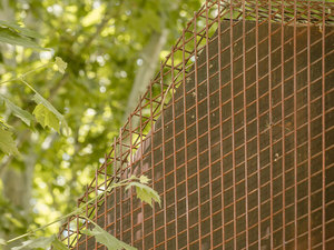 Tenis ve Paddle Okulu 17.jpg
