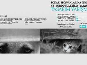 sokakhayvanlari.jpg
