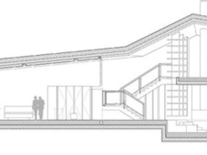 section.jpg