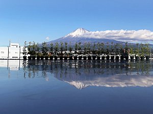 Fuji Dağı Dünya Mirası Merkezi