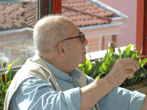 aydinboysan06.jpg