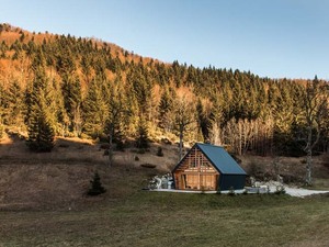 IMG_9804.jpg