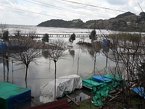Bartın_Güzelcehisar_Fırtınası