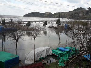 guzelcehisar01.jpg