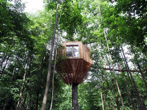 atelier-LAVIT-origin-tree-house-raray-france-designboom-01730.jpg