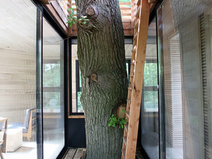 atelier-LAVIT-origin-tree-house-raray-france-designboom-04730.jpg
