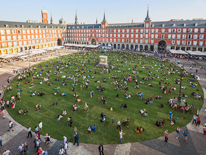 spy-plaza-mayor-3.jpg