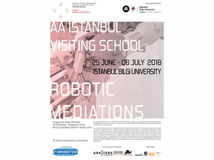 AAIstanbul2018_poster03_sfw.jpg