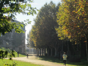 finalist18_25.JPG