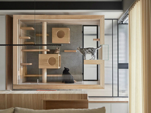 glass_and_wood_cat2.jpg